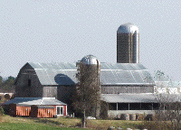 Organic Produce from Shillelagh Glen Farms